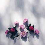 너네 눈화장 <b>순서</b> 뭐야?