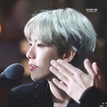 [EXO] 백현아 많이 좋아해