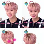 [박지훈] 아미<b>go</b> 티비 지후니 캡쳐