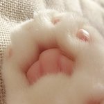 [댓글부탁해] 물건맡긴친구가 나도<b>둑</b>취급하는데 <b>어</b>캄?ㅃㄹ