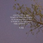 [조언부탁해] 얘들아 나 왜 살까?