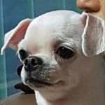 [댓글부탁해] 반에서 누가 5만원 훔친거 같은데 누구 <b>책임</b>이야ㅠㅠㅠ?