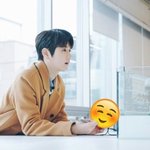 [<b>꼬랑</b>단] 꼬특해 우리 꼬야들☺☝️