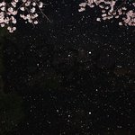[드루와] 정승제선생님 50일수학들어본사람