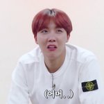 [방탄소년단] <b>호석</b>이 환멸짤 추가염