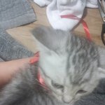 로또 성장기