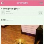 [드루와] 예전에 판할때 싫어하는 애 이름 썼었거든