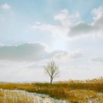 [방탄소년단] 제발 ㅂㅁㄱ 위에 댓글 좀 그만 달아 제발‼️