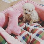 [댓글부탁해] 나 제발 <b>문이</b>과 좀 골라주라