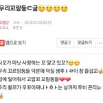 [꼬랑단] 꼬정뱅이꼬야 보라꼬☺