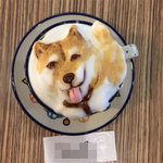 3D 라떼 아트의 <b>끝판</b>왕