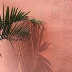 <b>문이</b>과 통합!!!!!