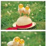 [<b>꼬랑</b>단] 꽁순이라꼬☺