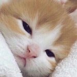 [조언부탁해] <b>동일</b>여상 아는사람????