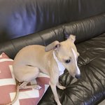 [방탄소년단] 준이피<b>셜</b> 멈무3대장