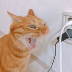콤플렉스 써보자..