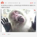[EXO] 이거두개 분위기가너무<b>상반</b>이라더웃곀ㅋㅋㅋ
