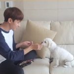 [세븐틴] 이 사진 <b>출처</b>..어딘지 아는 캐럿