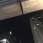 수시6광탈이야 죽고싶다