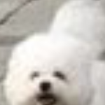 [드루와] <b>랜챗</b>에서 만난 남자애 우리옆학교애다ㅋㅋㅋ