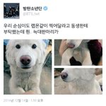 [방탄소년단] 밑 글보고 추억돋아 사건의 <b>전말</b>ㅋㅋㅋㅋㅋㅌ