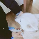[방탄소년단] <b>몬이</b> 귀야웤ㅋㅋㅋㅋㅋㅋ