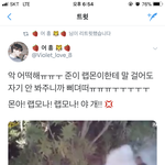 [방탄소년단] 헐 나 이거 첨보는데 뭔영상이얔ㅋㅋㅋㅋㅋ