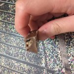 [댓글부탁해] 이마트 <b>웨이퍼</b> 초콜릿 좀 당황스럽다;