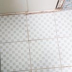 [EXO] 아ㅅㅂ <b>설사</b>