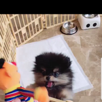 [방탄소년단] <b>바닥</b>보니까 애들 이사간게 실감난다 (+짤