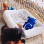 [방탄소년단] <b>연탄</b>이 인형