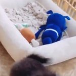 [방탄소년단] 오 연탄이 <b>방석</b> 개좋은거쓰넼ㅋㅋㅋㅋㅋㅋ