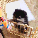 [조언부탁해] 나 오늘 4시에 쌍수하러가는데