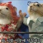개꼴통 특성화 와서 후회하고있다 나도