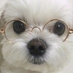 [댓글부탁해] 민<b>증사</b>진 찍을때 꿀팁