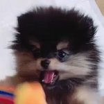[방탄소년단] <b>위협</b>적이야..치명적이야..