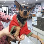 보호소 <b>입소</b> 두달째...