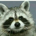 내 짝녀 진짜 <b>눈치</b>가 없는걸까?..