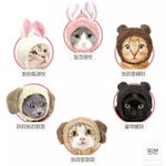 제발복수할방법좀