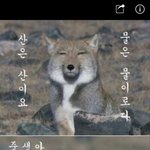 [방탄소년단] 개웃기닼ㅋㅋㅋㅋㅋㅋㅋㅋㅋ