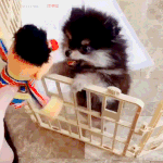 와 나 10개월만에 <b>바깥사람</b> 만나