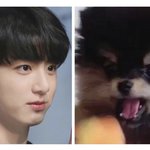 [방탄소년단] 사랑을 <b>독차지</b>하기 위한 피튀기는 신경전