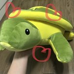 [댓글부탁해] 얘들아 제발 내 거북이 봐줘ㅠㅠㅠㅠㅠㅠ