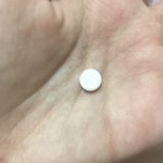 판녀들아 알<b>약어</b>케먹음 ㅜㅠㅠ