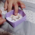 [드루와] <b>울</b> <b>동생</b> 자존감 지킴이야ㅠ