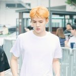 [EXO] 개이처 스탠딩가본애있음?