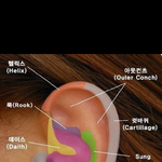 고삼인데 연골피어싱 하는거 개에바?