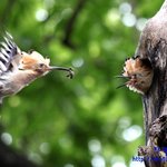 내 친구네 가족<b>구성</b>