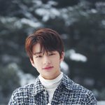 [스키즈] 겨울미남 황현진