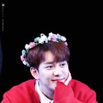 [블락비] 타팬인데요!